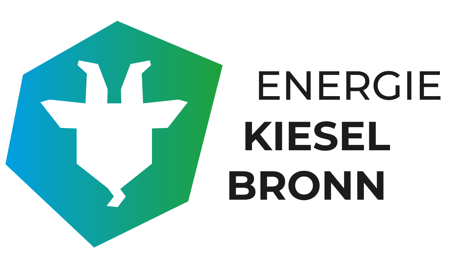 Logo des Energieversorgers Energie Kieselbronn GmbH